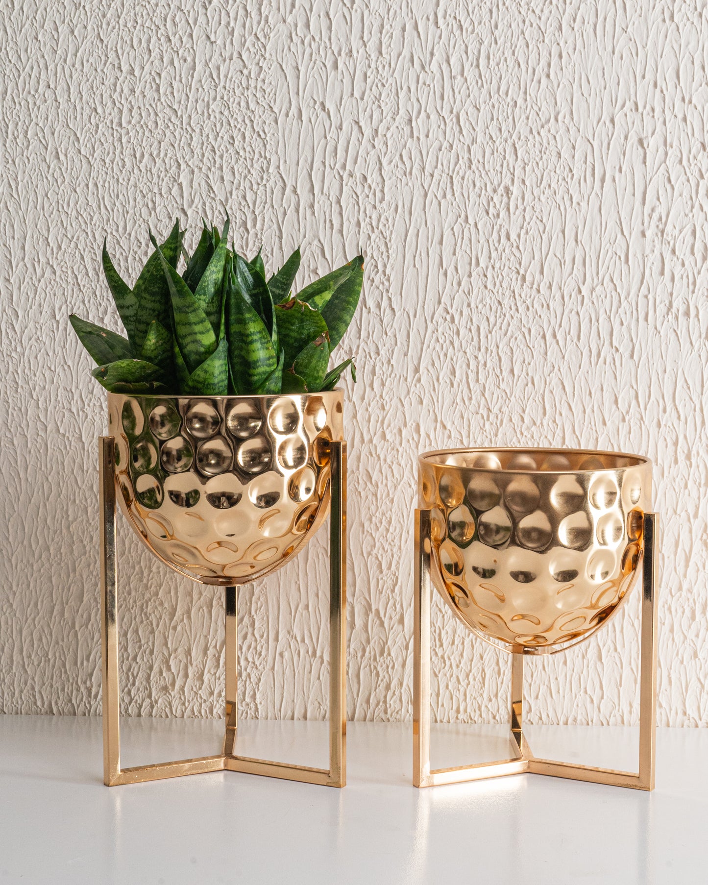 Dotted Metal Golden Planter