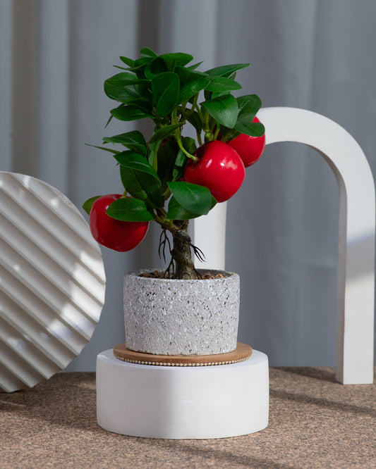 Faux Apple Planter